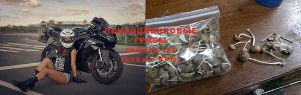 хмурый Абаза