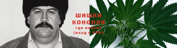 хмурый Абаза