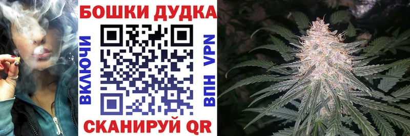 Бошки Шишки гибрид  цены   Разумное 